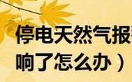 天然报警怎么回事（天然气报警是怎么回事）