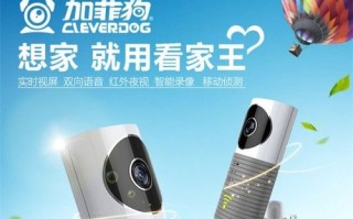 看家王怎么安装（再穷不卖看家王啥意思）