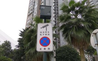 违停抓拍能拍多远，怎么识别违停球星