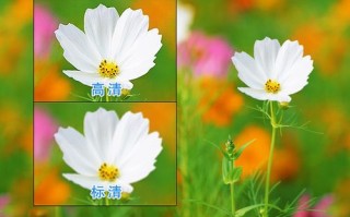 高清和标清有什么区别，高清和标清是什么意思