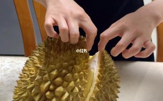 榴莲视频怎么办（榴莲怎么开）