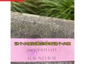 发货怎么录像（发货怎么录像发给别人）