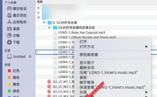 中维录像怎么拷贝（中维录像怎么拷贝到u盘）