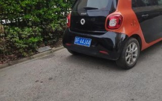 smart车牌怎么安装（smart车牌怎么安装）