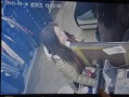 监控模糊有重影怎么办（监控模糊有重影怎么办呢）