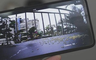 摄像头视频丢失怎么查（我家安装的摄像头APP丢了怎么找回摄像头的资料）