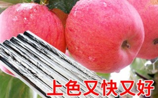果树防雨大棚最新建法，学校防雨通道怎么做好看又简单