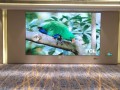 大屏幕显示屏怎么显示屏（大屏幕显示屏怎么显示屏幕大小）