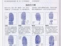 怎样鉴别指纹的真假，指纹怎么鉴别真假
