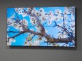 液晶拼接屏漏液怎么解决（拼接楼板漏水怎么处理）
