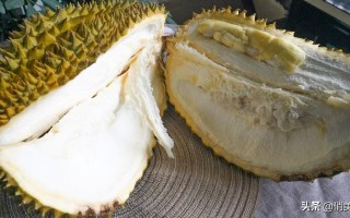 榴莲怎么杀视频教程大全（买回来的榴莲只有三房肉可以退吗）
