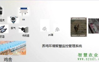 山上养鸡怎么装摄像头（山上养鸡怎么装摄像头）