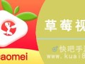 草莓视频苹果怎么进不去（草莓英语怎么读）