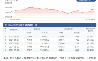 大华股份 怎么样（大华股份的股票最近为什么会跌）