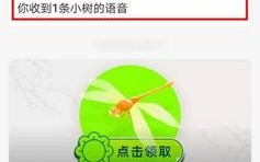 森林怎么语音（森林联机按哪个键说话）