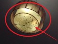 感应灯泡可以装在灯罩里吗，红外灯灯罩怎么更亮一点