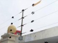 院墙电子围栏怎么做，自己怎么做电子围栏安装视频