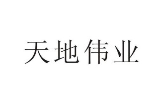 天地伟业是怎么代理的（天地伟业是怎么代理的呢）