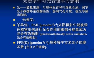 强光抑制 英文怎么说（强光抑制 英文怎么说呢）