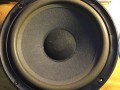音箱怎么分辨（怎么样辨别音响的真伪）