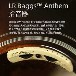 lr拾音器怎么样(lr拾音器有假的吗)-第1张图片-安保之家 lr拾音器怎么样(lr拾音器有假的吗)-第1张图片-安保之家
