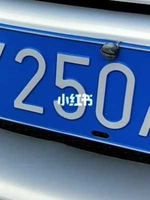 车牌551怎么样(车牌号551怎么样)-第1张图片-安保之家 车牌551怎么样(车牌号551怎么样)-第1张图片-安保之家