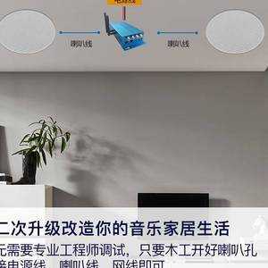家庭背景音乐怎么隐藏喇叭,背景音乐喇叭怎么布置好听-第2张图片-安保之家 家庭背景音乐怎么隐藏喇叭,背景音乐喇叭怎么布置好听-第2张图片-安保之家