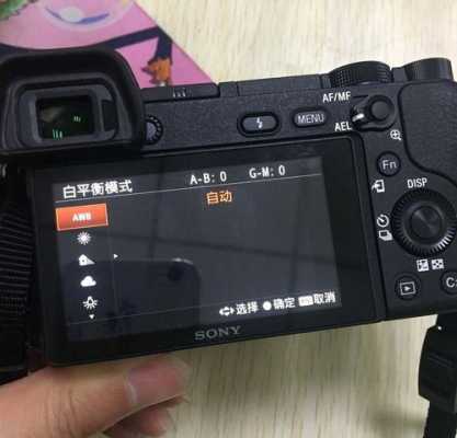 索尼摄像机接大屏幕颜色怎么调,sony摄像机怎么调白平衡模式-第2张图片-安保之家 索尼摄像机接大屏幕颜色怎么调,sony摄像机怎么调白平衡模式-第2张图片-安保之家