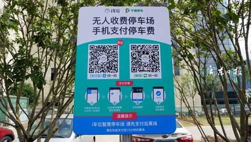 小叶子智能陪练怎么收费,北京智慧停车怎么收费怎么付费-第2张图片-安保之家 小叶子智能陪练怎么收费,北京智慧停车怎么收费怎么付费-第2张图片-安保之家