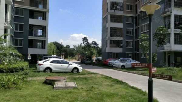 上街中美小区怎么样(上街中美小区怎么样)-第2张图片-安保之家 上街中美小区怎么样(上街中美小区怎么样)-第2张图片-安保之家