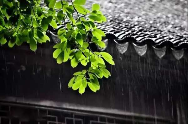 百花齐放怎么监控(arsturn是什么牌子)-第2张图片-安保之家 百花齐放怎么监控(arsturn是什么牌子)-第2张图片-安保之家