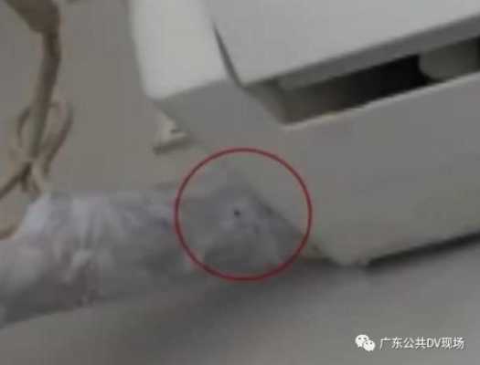 微型无线摄像头怎么安装(微型无线摄像头怎么安装步骤)-第3张图片-安保之家 微型无线摄像头怎么安装(微型无线摄像头怎么安装步骤)-第3张图片-安保之家