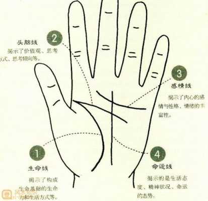 手纹怎么p(手纹怎么p掉)-第1张图片-安保之家 手纹怎么p(手纹怎么p掉)-第1张图片-安保之家