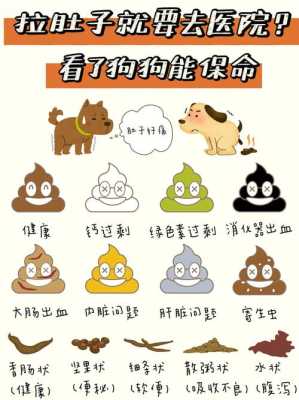 pir怎么防宠物(如何防止宠物)-第2张图片-安保之家 pir怎么防宠物(如何防止宠物)-第2张图片-安保之家