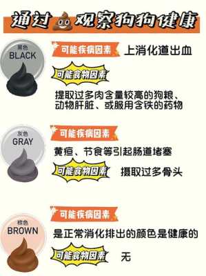 pir怎么防宠物(如何防止宠物)-第3张图片-安保之家 pir怎么防宠物(如何防止宠物)-第3张图片-安保之家