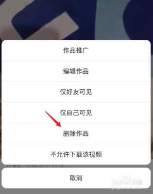 h.265视频能不能发快手，怎样发视频-第2张图片-安保之家