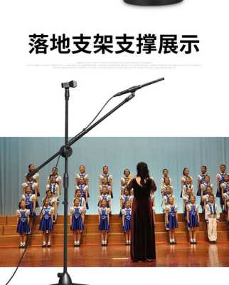吊麦怎么安装(吊麦怎么安装视频教程)-第2张图片-安保之家 吊麦怎么安装(吊麦怎么安装视频教程)-第2张图片-安保之家