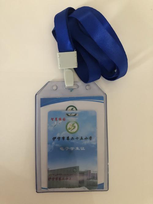 学校办的门禁卡怎么激活,学校有门禁怎么合理进入-第2张图片-安保之家 学校办的门禁卡怎么激活,学校有门禁怎么合理进入-第2张图片-安保之家
