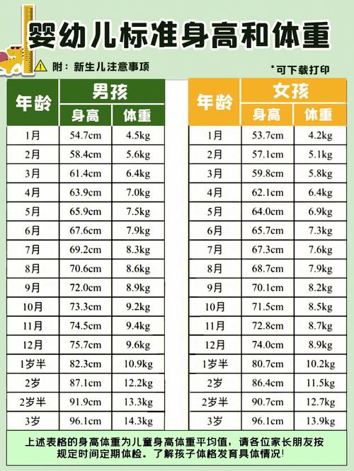 黑路开车要注意什么,雪亮工程施工标准-第1张图片-安保之家 黑路开车要注意什么,雪亮工程施工标准-第1张图片-安保之家