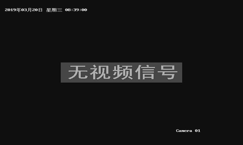 监控不出图像怎么调整(监控屏幕上没有图像是怎么回事)-第2张图片-安保之家 监控不出图像怎么调整(监控屏幕上没有图像是怎么回事)-第2张图片-安保之家