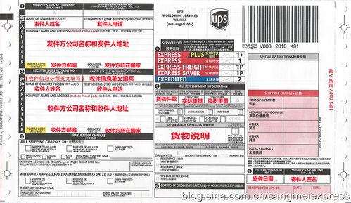 国际快递怎么邮寄啊,ups怎么设置-第2张图片-安保之家 国际快递怎么邮寄啊,ups怎么设置-第2张图片-安保之家