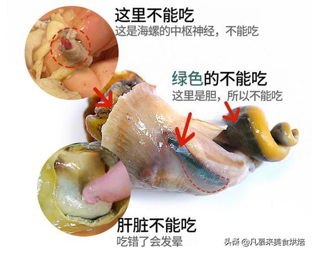 海螺头怎么去除 视频(大海螺头部怎么去除)-第2张图片-安保之家 海螺头怎么去除 视频(大海螺头部怎么去除)-第2张图片-安保之家