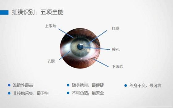 怎么通过虹膜识别健康(怎么通过虹膜识别健康)-第1张图片-安保之家 怎么通过虹膜识别健康(怎么通过虹膜识别健康)-第1张图片-安保之家