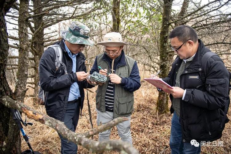 森林怎么开红外线,森林红外摄像装置怎么用-第1张图片-安保之家 森林怎么开红外线,森林红外摄像装置怎么用-第1张图片-安保之家