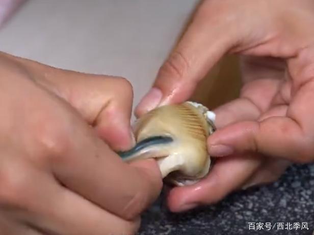海螺的头部怎么处理(海螺的头部怎么处理干净)-第2张图片-安保之家 海螺的头部怎么处理(海螺的头部怎么处理干净)-第2张图片-安保之家