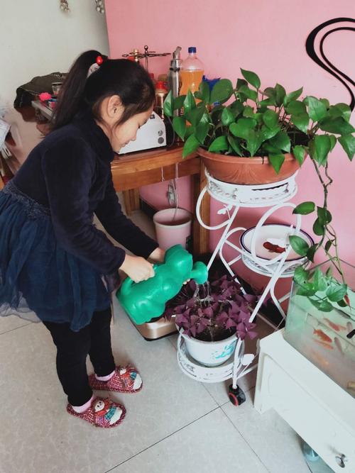 怎么能无人浇花(家里没人浇花怎么办)-第3张图片-安保之家 怎么能无人浇花(家里没人浇花怎么办)-第3张图片-安保之家