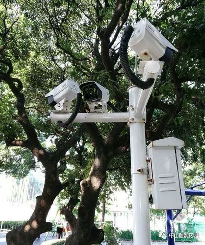 小区监控录像业主能查看吗,怎么避开小区监控摄像头-第1张图片-安保之家 小区监控录像业主能查看吗,怎么避开小区监控摄像头-第1张图片-安保之家