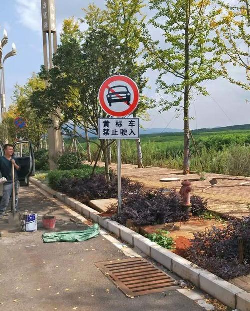 怎么抓拍黄标车(东莞环保限行抓拍什么)-第3张图片-安保之家 怎么抓拍黄标车(东莞环保限行抓拍什么)-第3张图片-安保之家