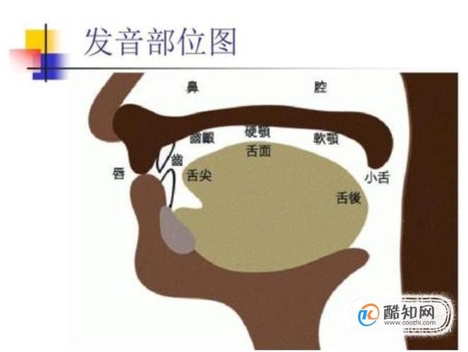 磁性的声音怎么分辨(什么声音叫做有磁性)-第1张图片-安保之家 磁性的声音怎么分辨(什么声音叫做有磁性)-第1张图片-安保之家