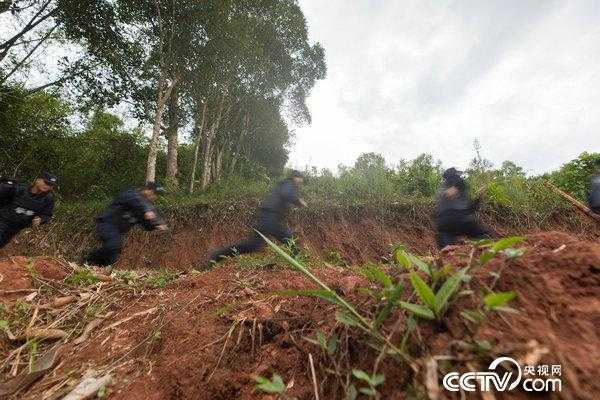 缉毒怎么使用监控系统(缉毒警察如何侦查)-第2张图片-安保之家 缉毒怎么使用监控系统(缉毒警察如何侦查)-第2张图片-安保之家